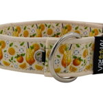 Obojok Citrus Fiesta