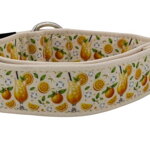 Obojok Citrus Fiesta