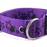 Obojok Stars