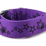 Obojok Stars