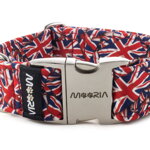 Obojok Union Jack
