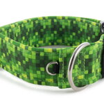 Obojok Digital Green