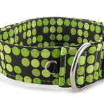 Obojok Bright Green Dots