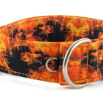 Obojok Fire