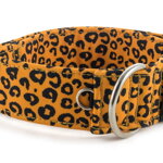 Obojok Jaguar
