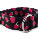 Obojok Raspberries