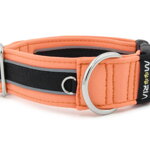 Obojok Reflex Salmon II