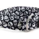 Obojok Skulls