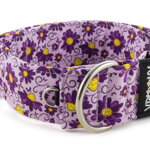 Obojok Violet Beauty