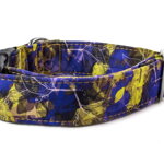 Obojok Blue Yellow Mood