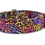 Obojok Crazy Tiger