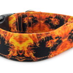 Obojok Fire