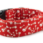 Obojok Fishbone Red