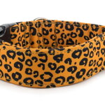 Obojok Jaguar