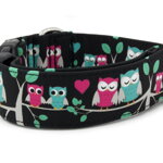 Obojok Owl Love