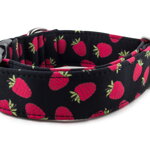 Obojok Raspberries