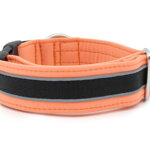 Obojok Reflex Salmon II