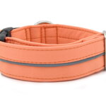 Obojok Reflex Salmon I