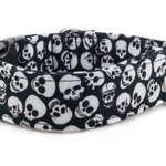 Obojok Skulls
