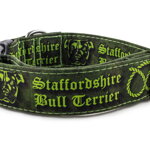 Obojok Staffordshire Bull Terrier Green