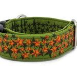 Obojok Stars on Green