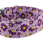 Obojok Violet Beauty
