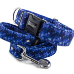 Obojok Digital Blue