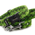 Obojok Digital Green
