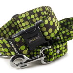 Obojok Bright Green Dots