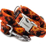 Vodítko Fire