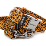Obojok Jaguar
