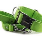 Obojok Lime Green