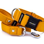 Obojok Mustard Yellow