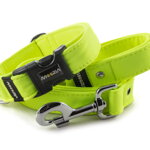 Obojok Neon Yellow