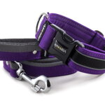 Obojok Reflex Fuchsia Violet II
