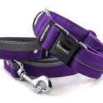 Obojok Reflex Fuchsia Violet I