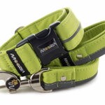 Obojok Reflex Lime Green I