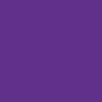Obojok Fuchsia Violet