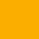 Obojok Mustard Yellow