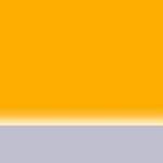 Vodítko Reflex Mustard Yellow