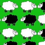 Obojok Sheep Dream Green