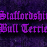 Vodítko Staffordshire Bull Terrier Violet