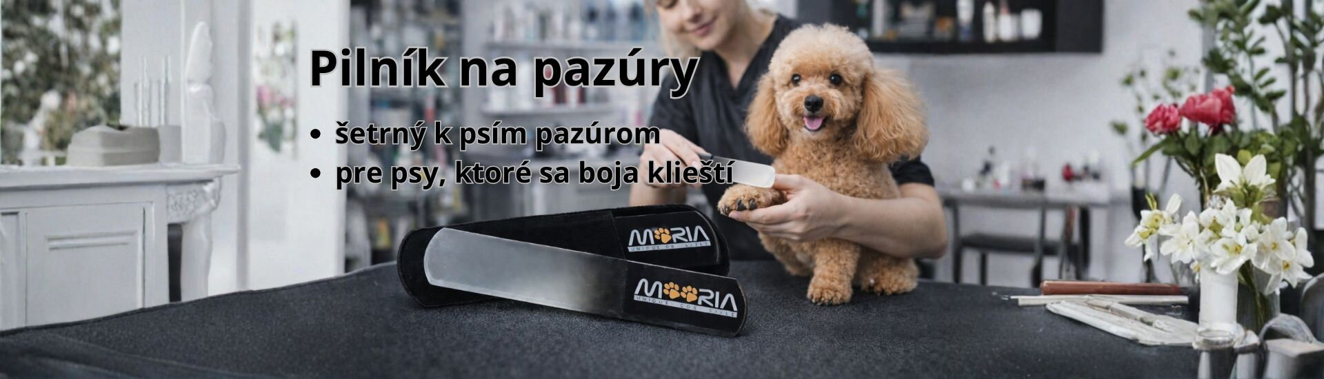 Pilník na pazúry